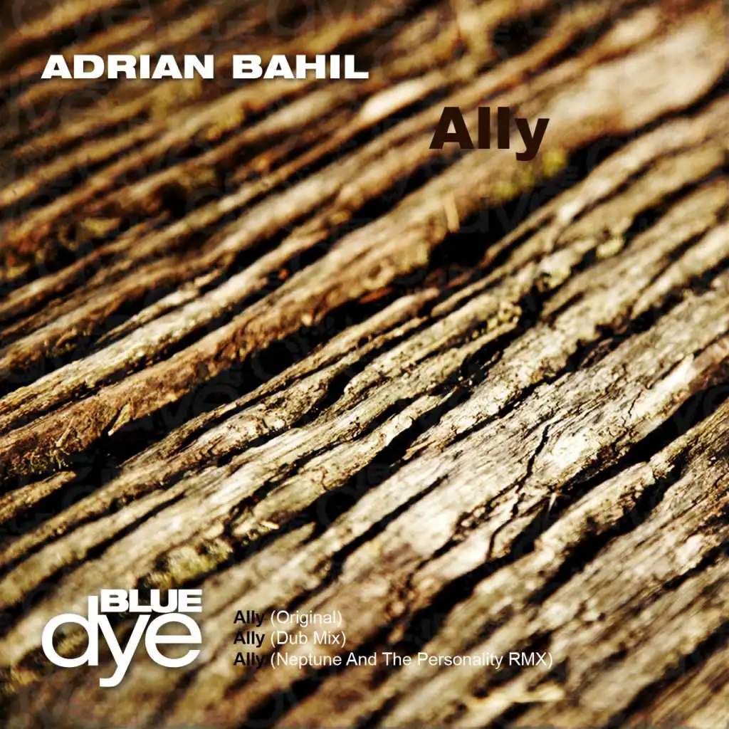 Ally (Dub Remix)