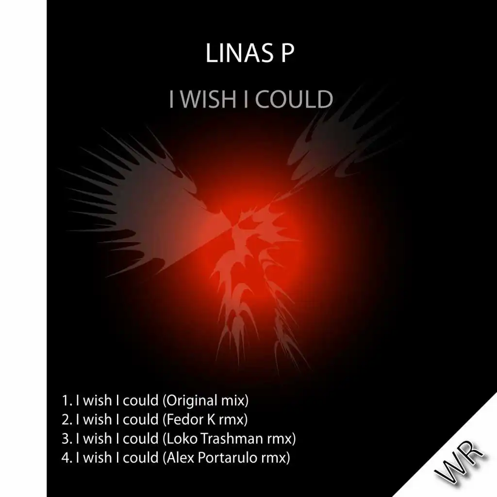 I Wish I Could (Fedor K Remix)