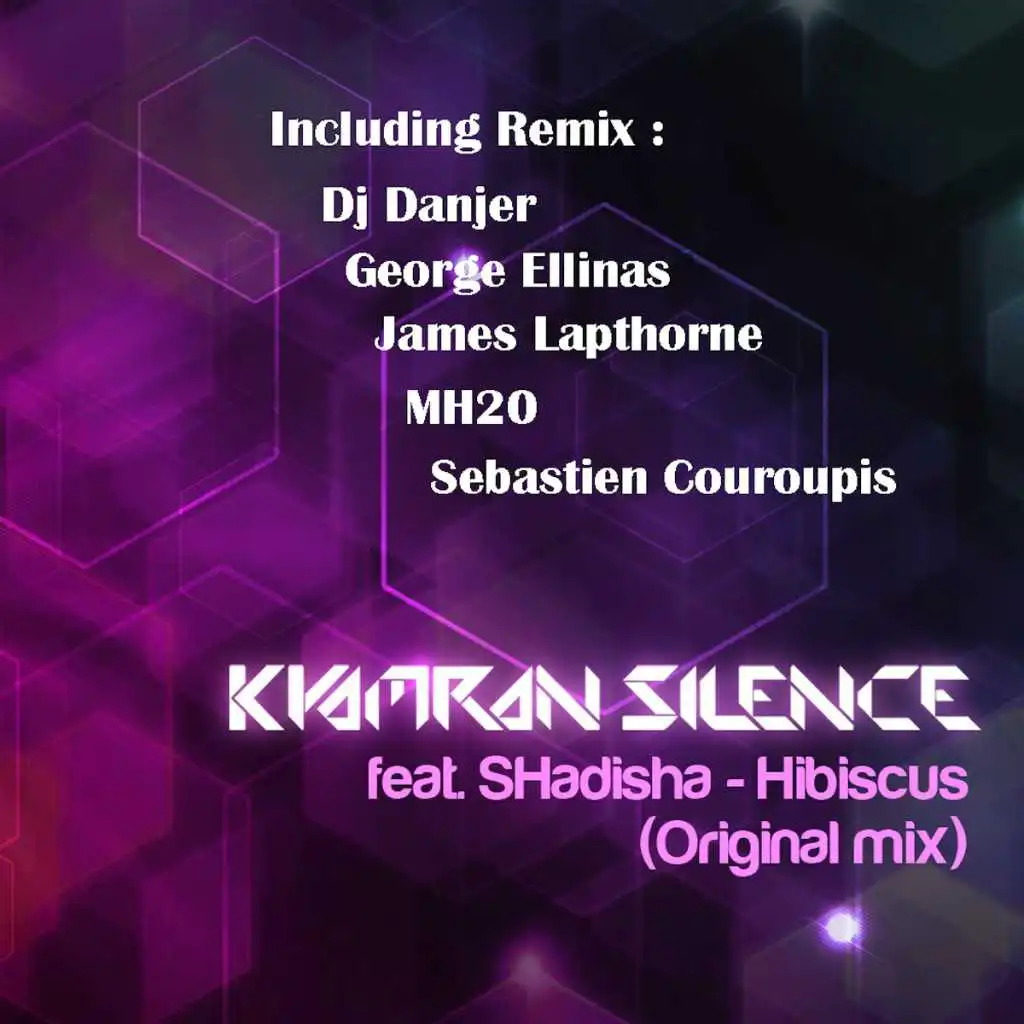 Hibiscus (James Lapthorne Remix) [feat. Shadisha]