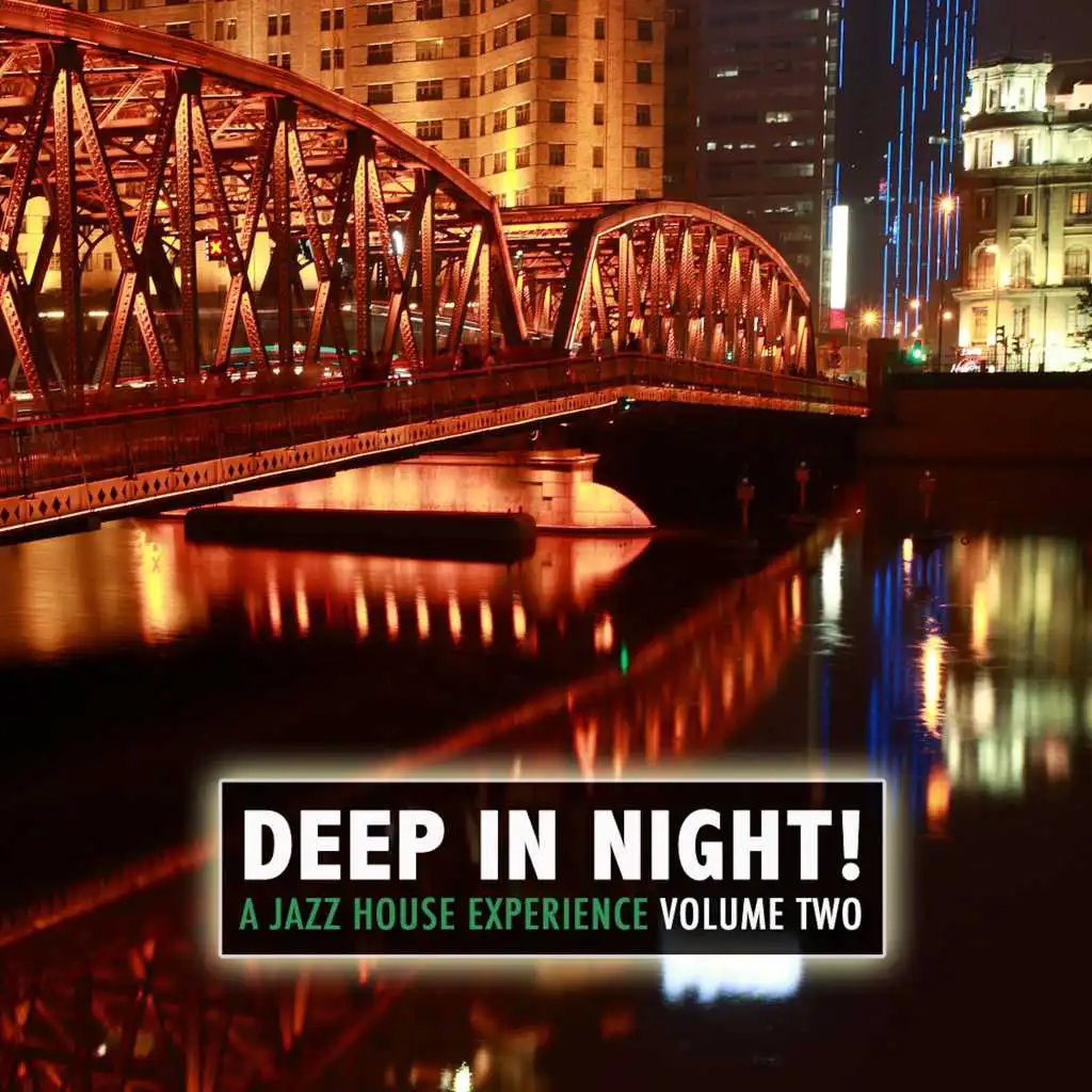Deep in the Night!, Vol.2 - A Jazz House Experience
