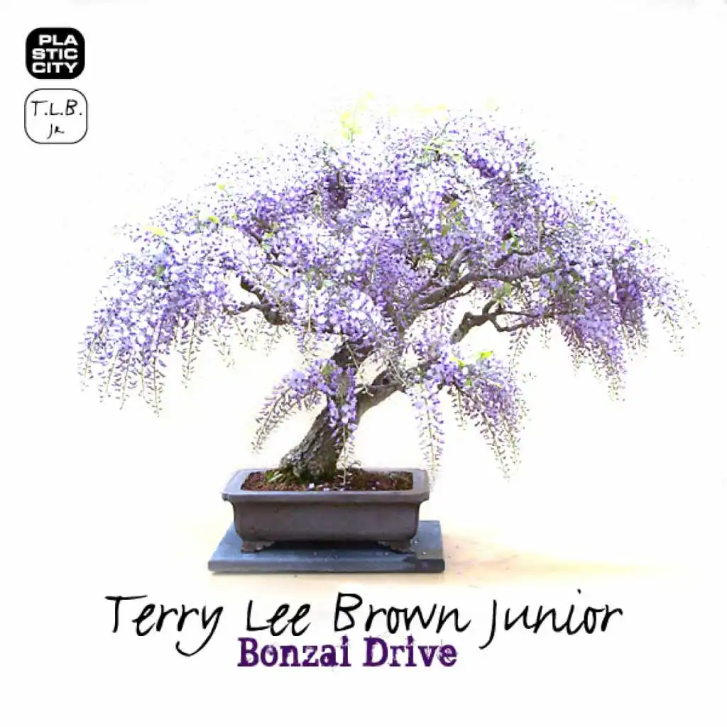 Bonzai Drive