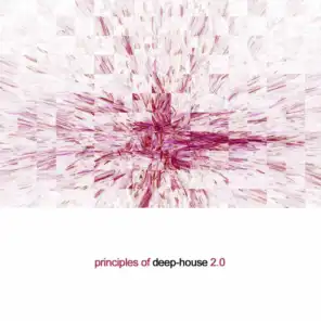 Principles of Deep House 2.0