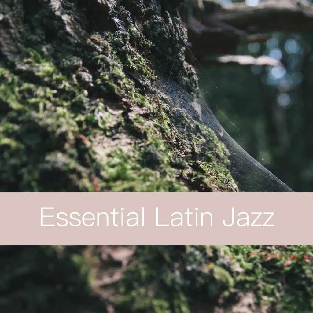 Essential Latin Jazz