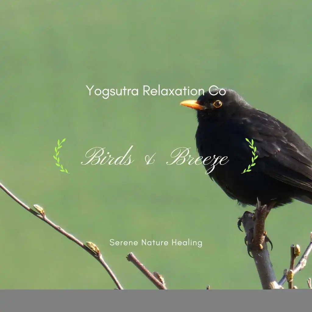 Serene Nature Healing