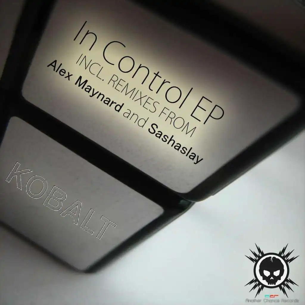 In Control (Sashaslay Remix)