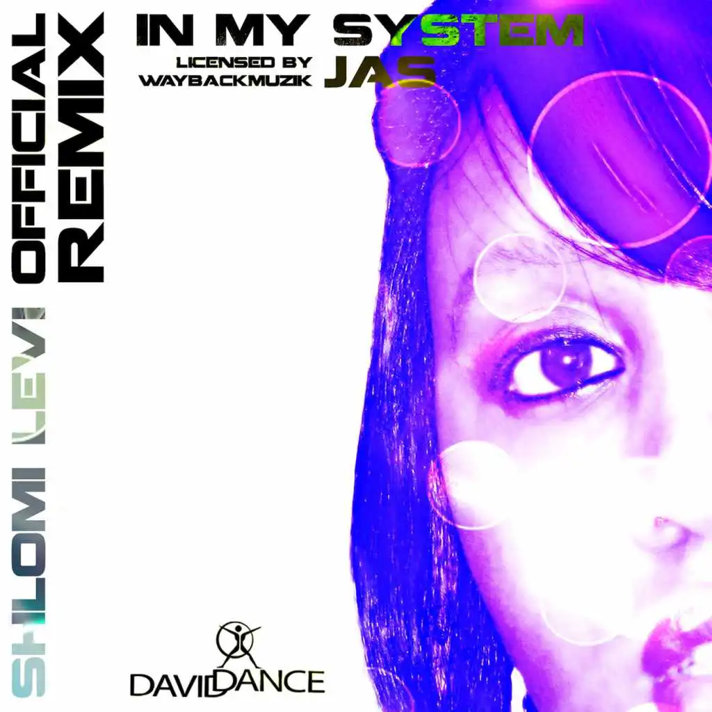 In My System (Shlomi Levi Remix)