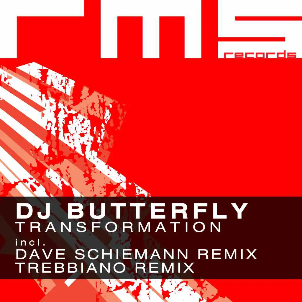 Transformation (Dave Schiemann Remix)