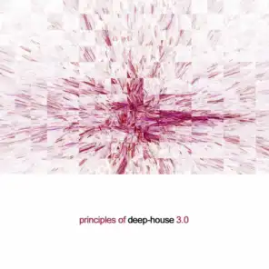 Principles of Deep House, Vol. 3