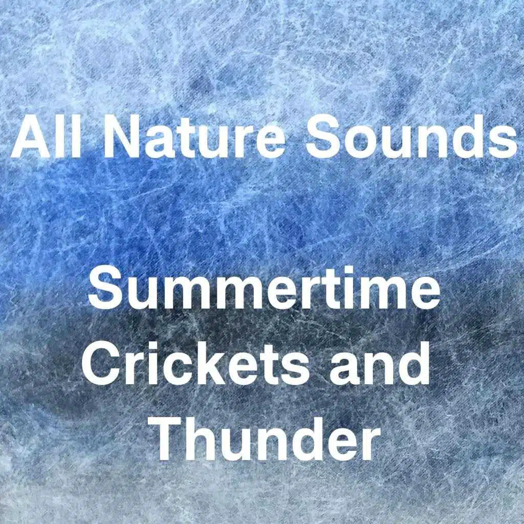 Summertime Crickets and Thunder