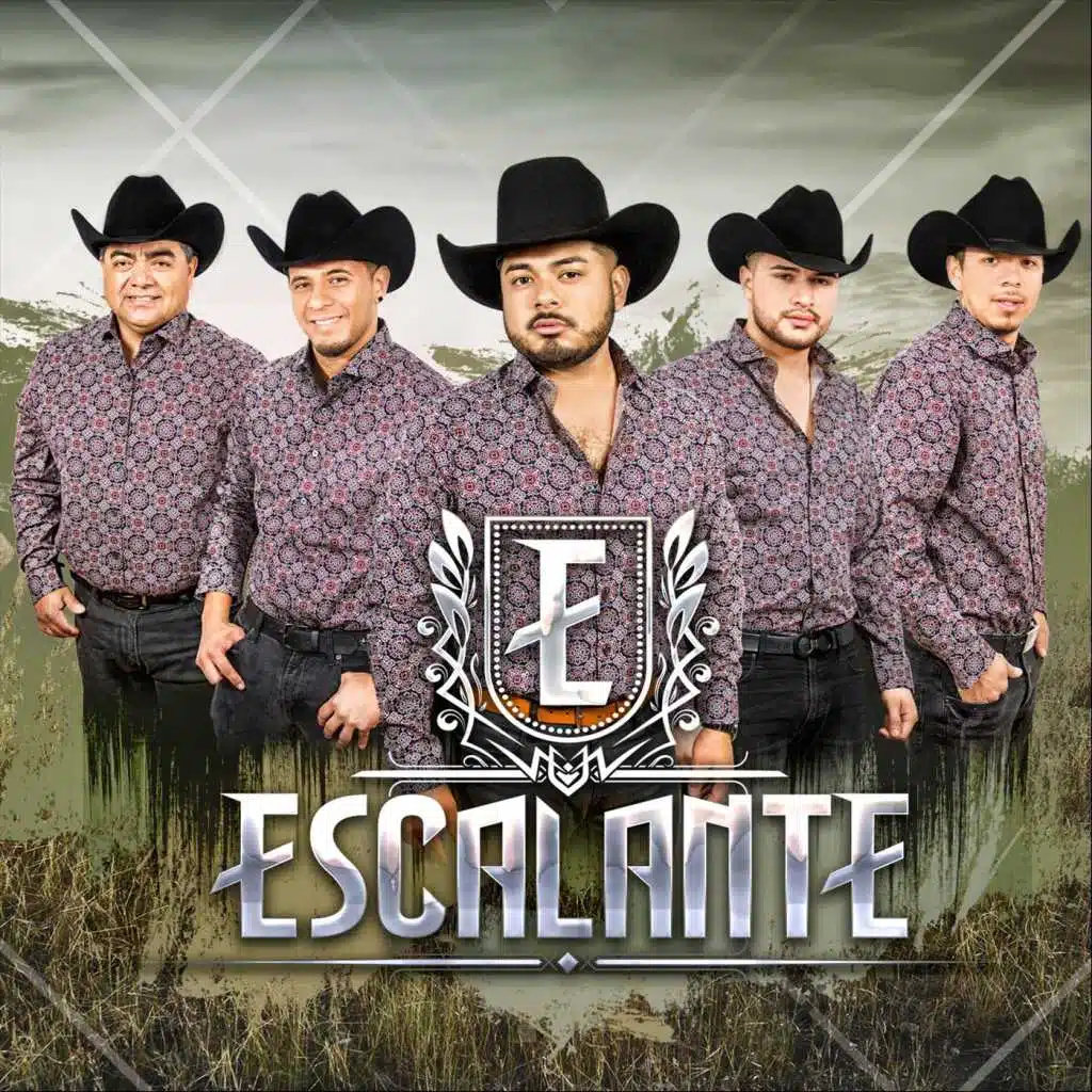 Necesito una Compañera