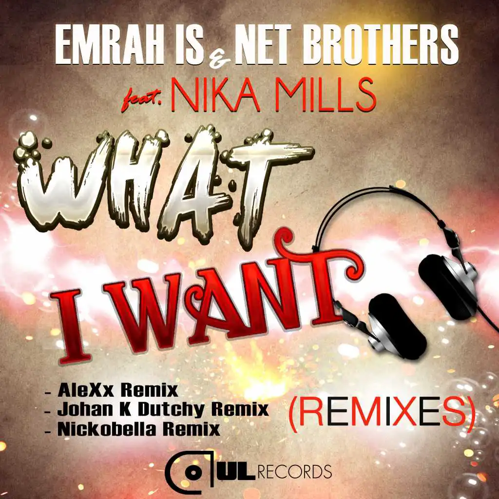 What I Want (AleXx Remix) [feat. Nika Mills]