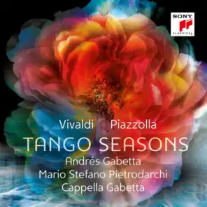 The Four Seasons - Violin Concerto in F Minor, RV 297, "Winter"/I. Allegro non molto