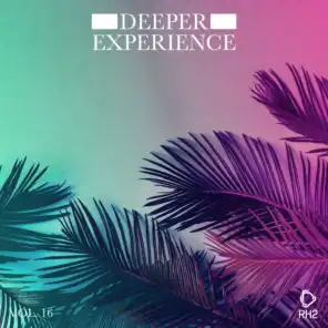 Deeper Experience, Vol. 16