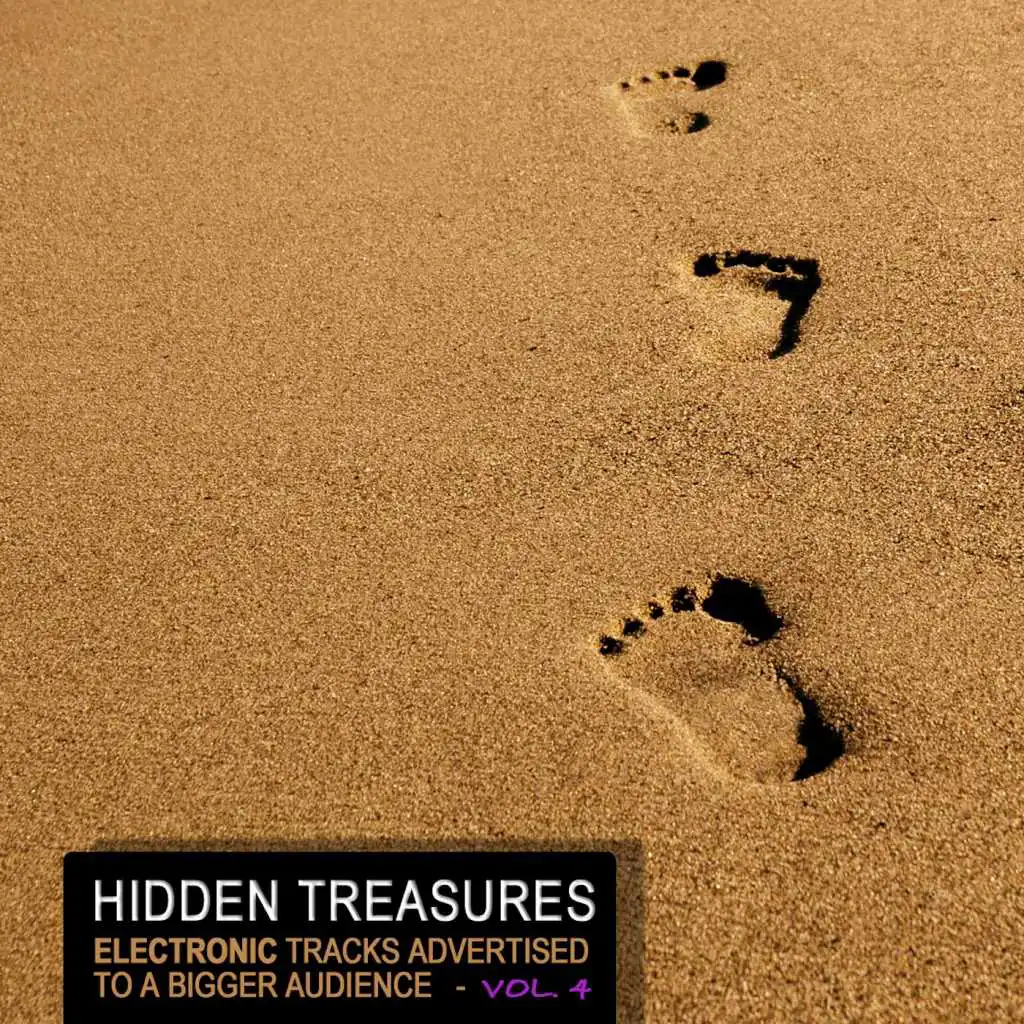 Hidden Treasures, Vol. 4 - Electronic Tracks Advertised to a Bigger Audience