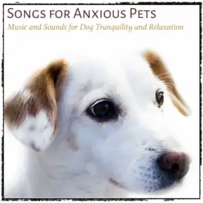 Dog Music Dreams, RelaxMyDog & Relax My Puppy