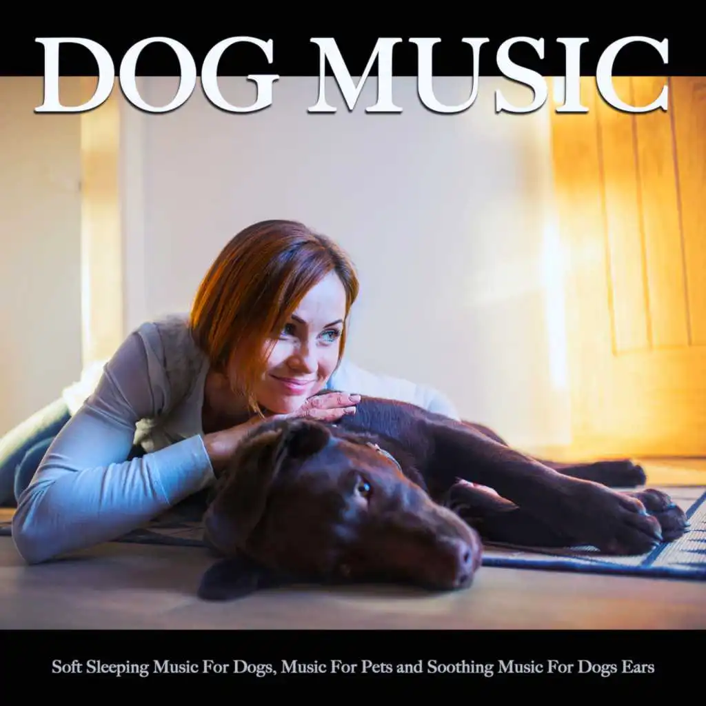 Dog Music: Soft Sleeping Music For Dogs, Music For Pets and Soothing Music For Dogs Ears