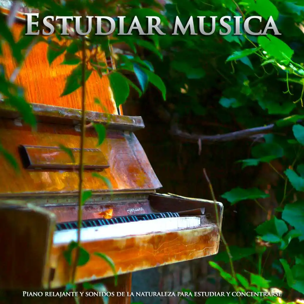 Estudiar musica: Piano relajante y sonidos de la naturaleza para estudiar y concentrarse