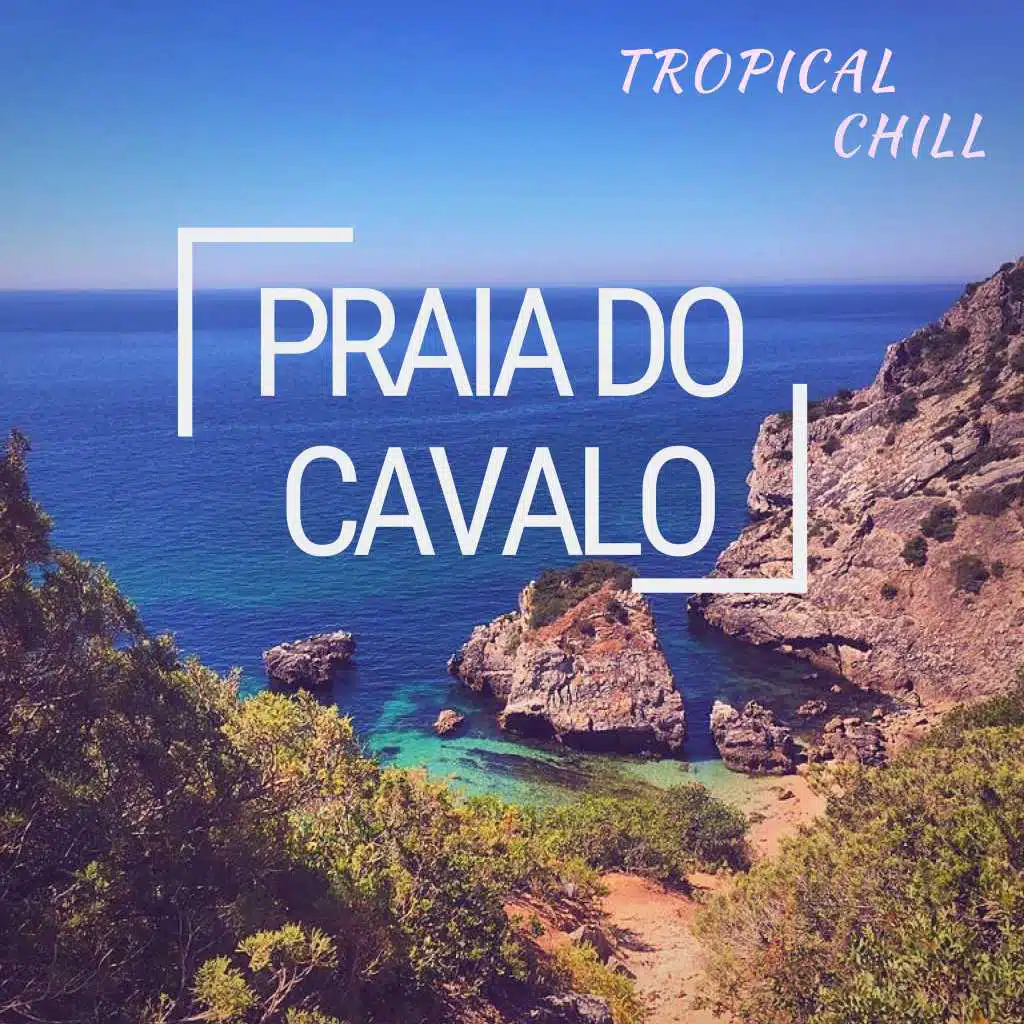 Praia do Cavalo - Música Especial de Lounge Chillout para Praia Relaxe, Lembranças de Verão, Música de Fundo, Tropical Chill