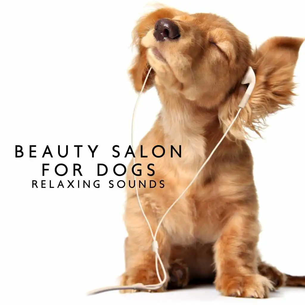 Beauty Salon for Dogs Relaxing Sounds – New Age Soothing Sounds to Calm Dogs Before Styling