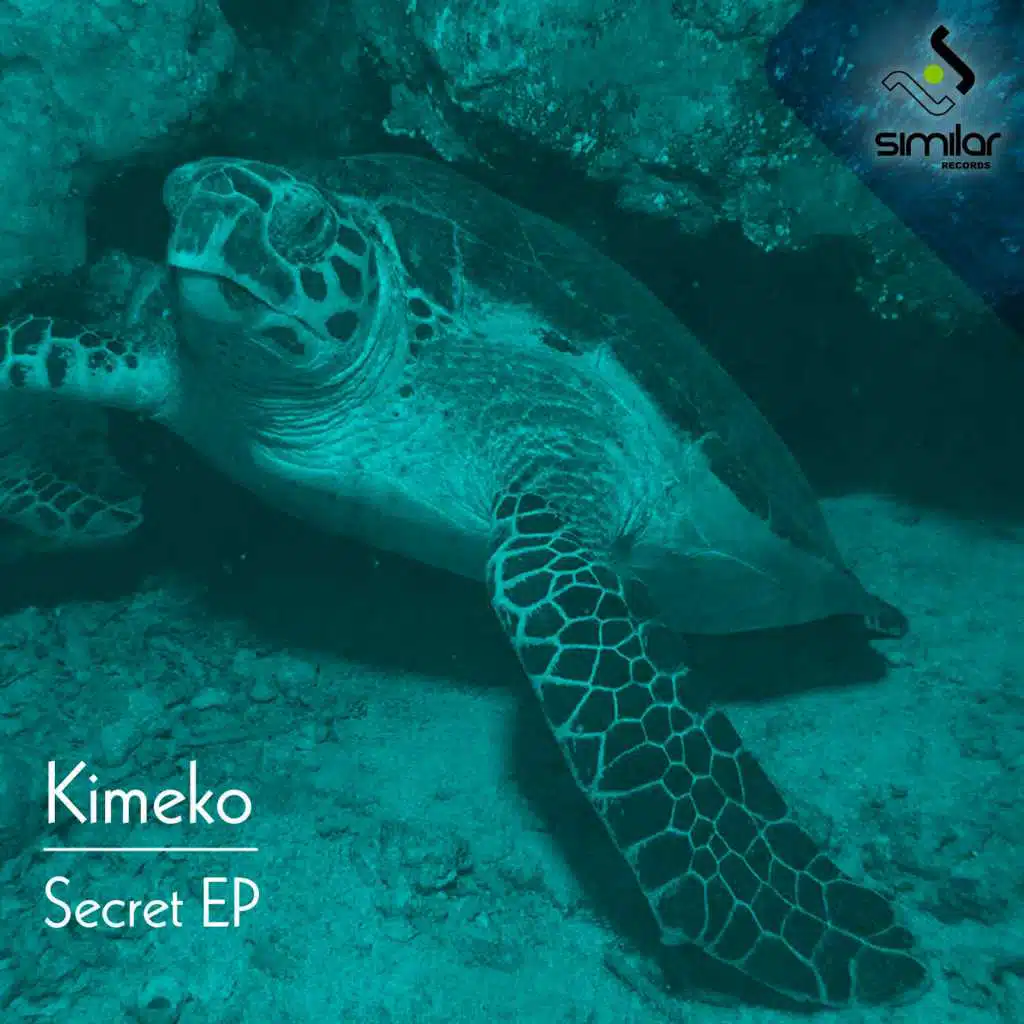 Secret (Vito Buffa Remix)