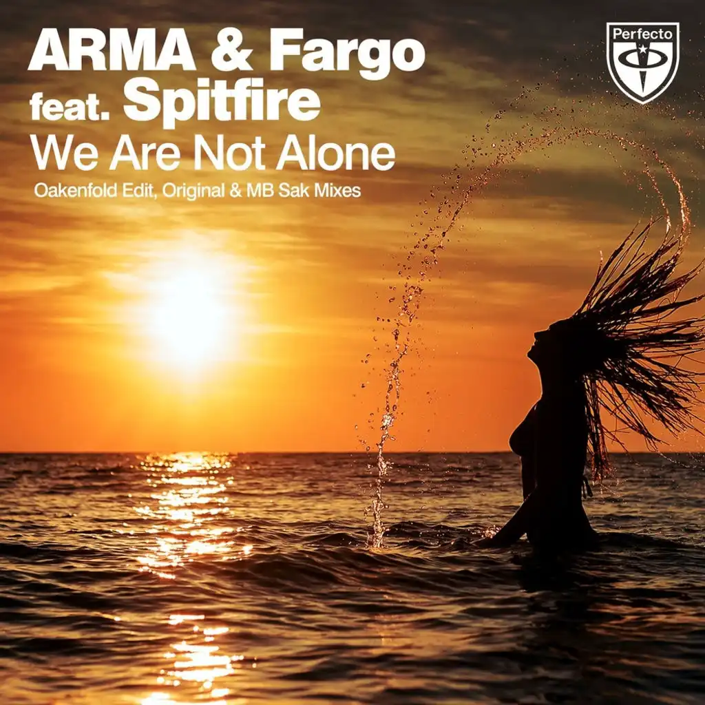 We Are Not Alone (Original Mix)