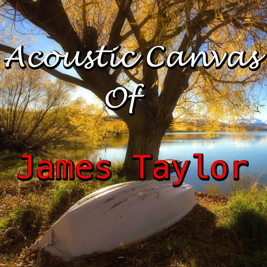 Acoustic Portarait Of James Taylor