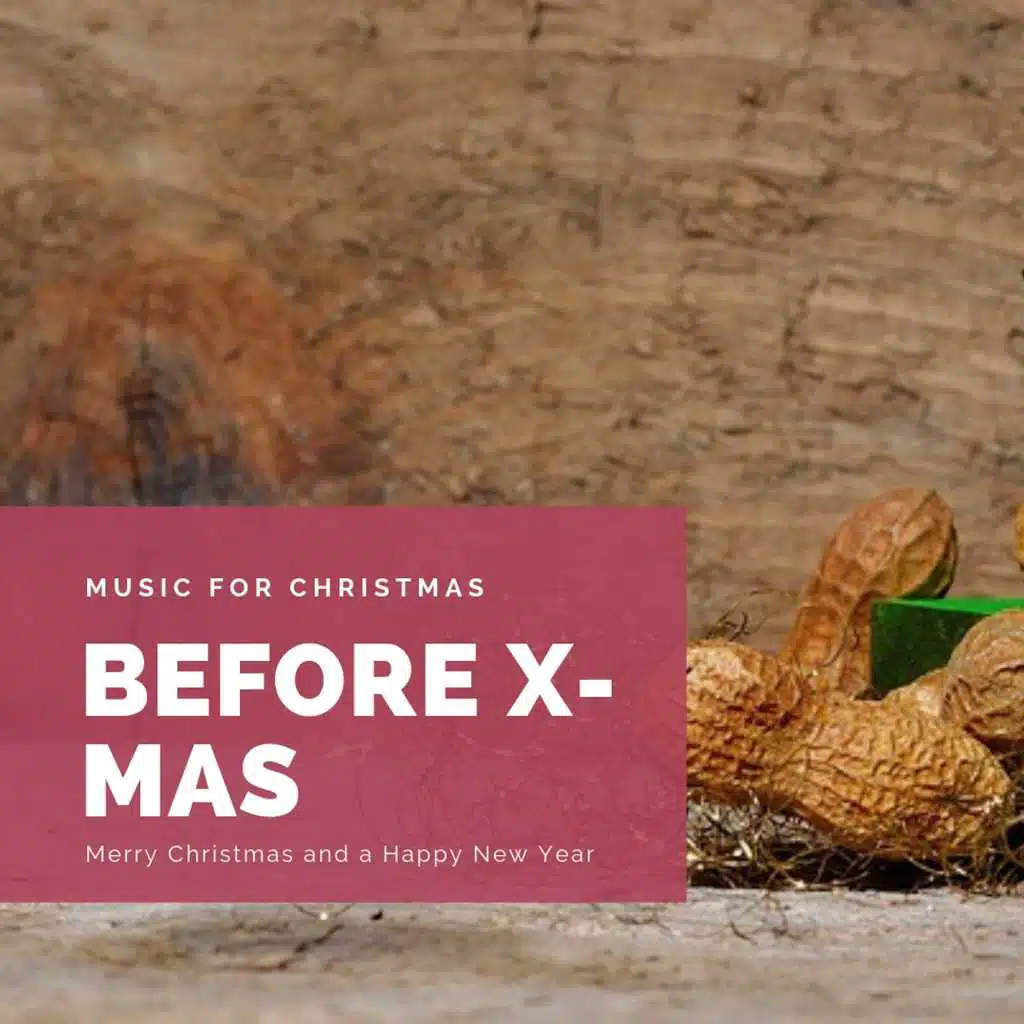 Before X-Mas (The Best Christmas Songs)