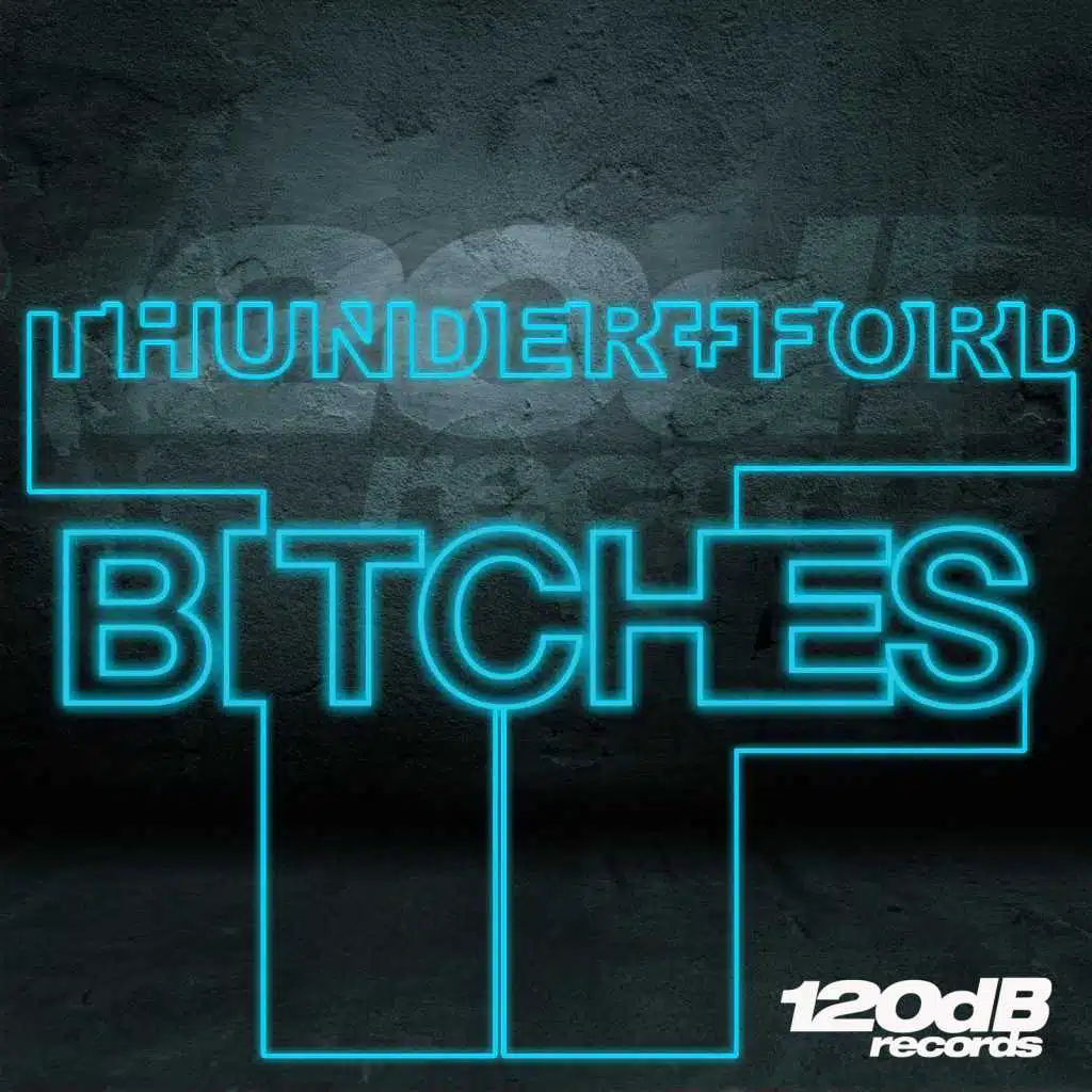 Bitches (Stereofunk & Hochanstaendig Remix)