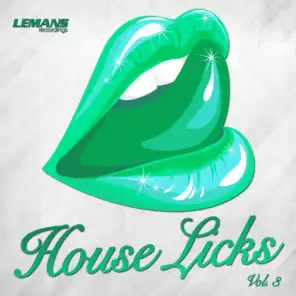 House Licks, Vol. 3