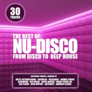 The Best of Nu-Disco - From Disco to Deep House