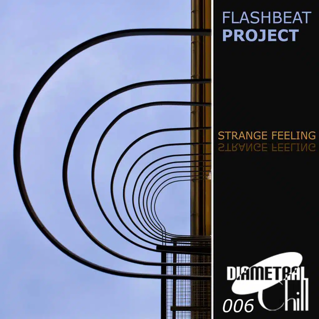 Flashbeat Project