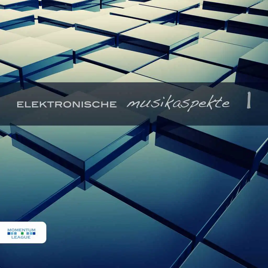 Elektronische Musikaspekte, Vol. 1