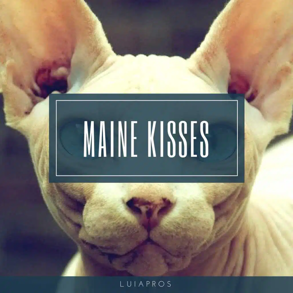 Maine Kisses (Original)