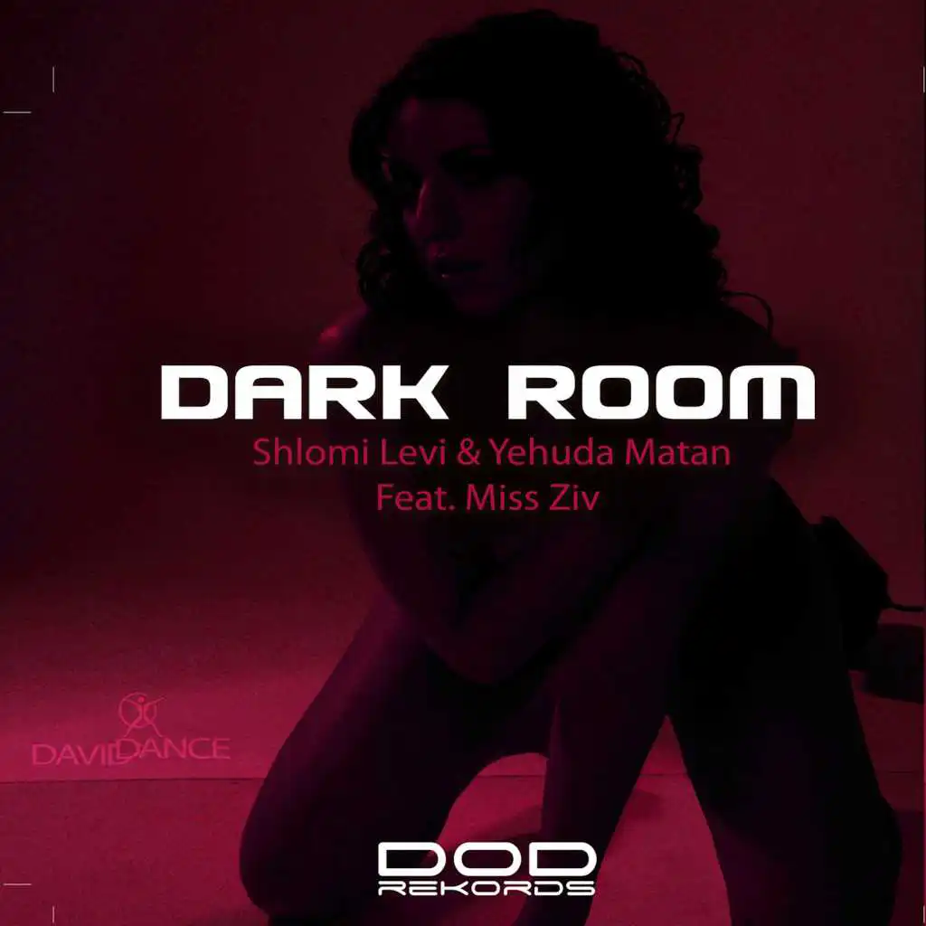Dark Room (feat. Miss Ziv)