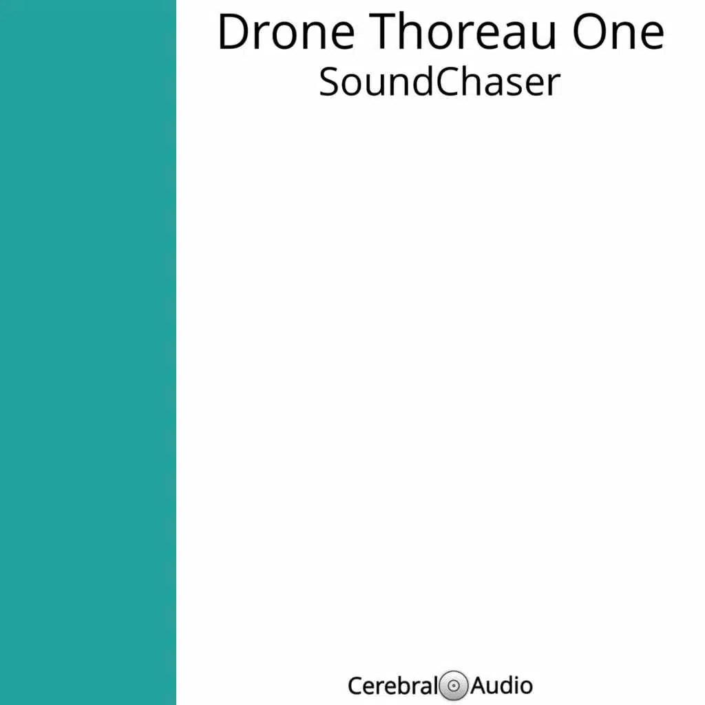 Drone Thoreau One