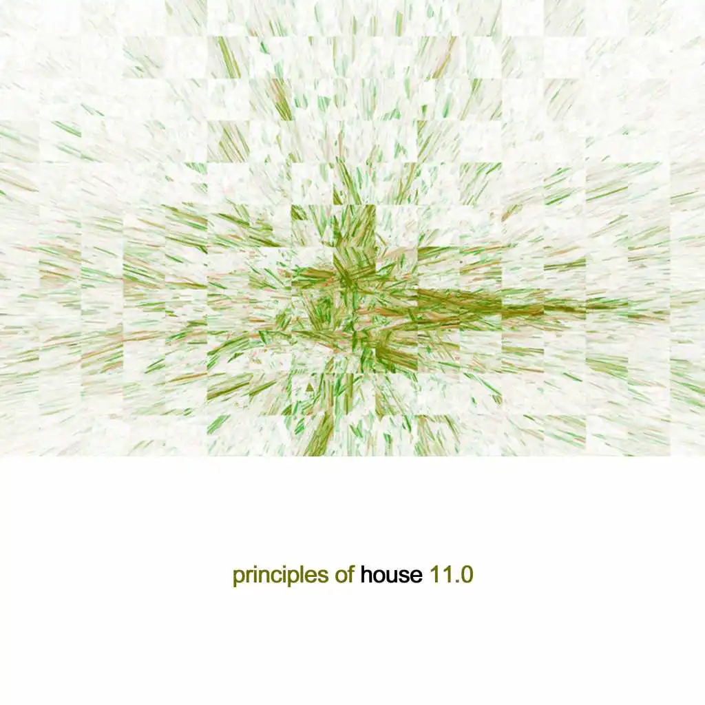 Principles of House, Vol. 11