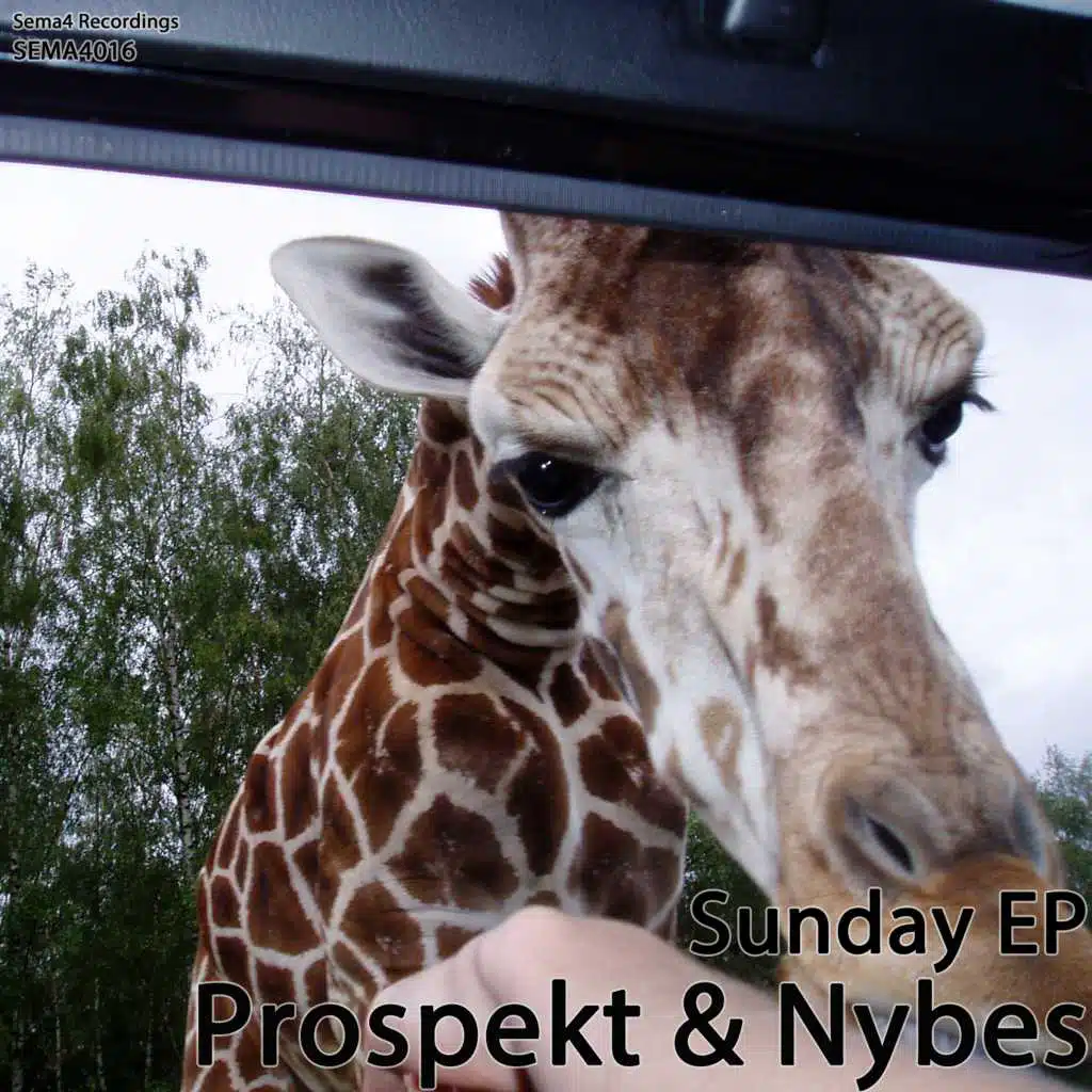 Prospekt & Nybes