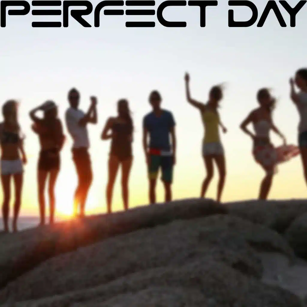 Perfect Day