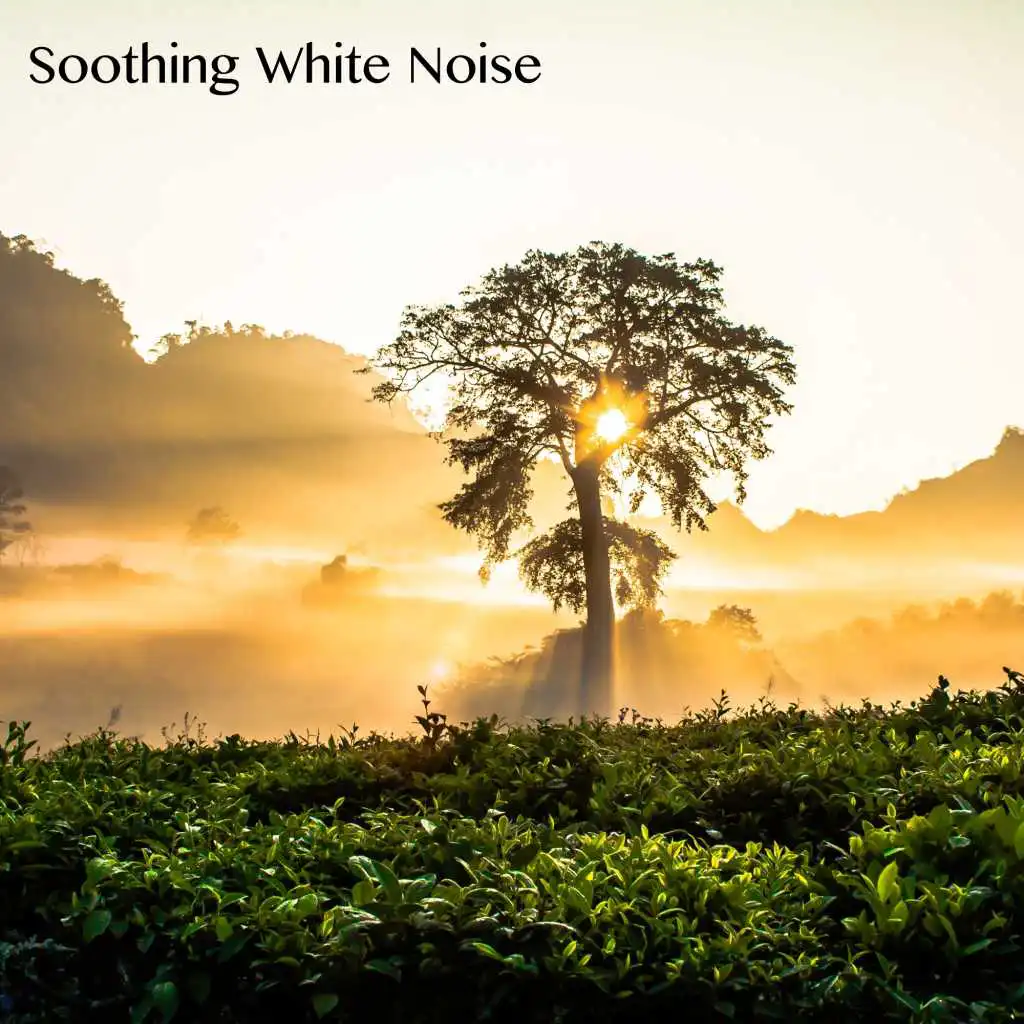 Soothing White Noise