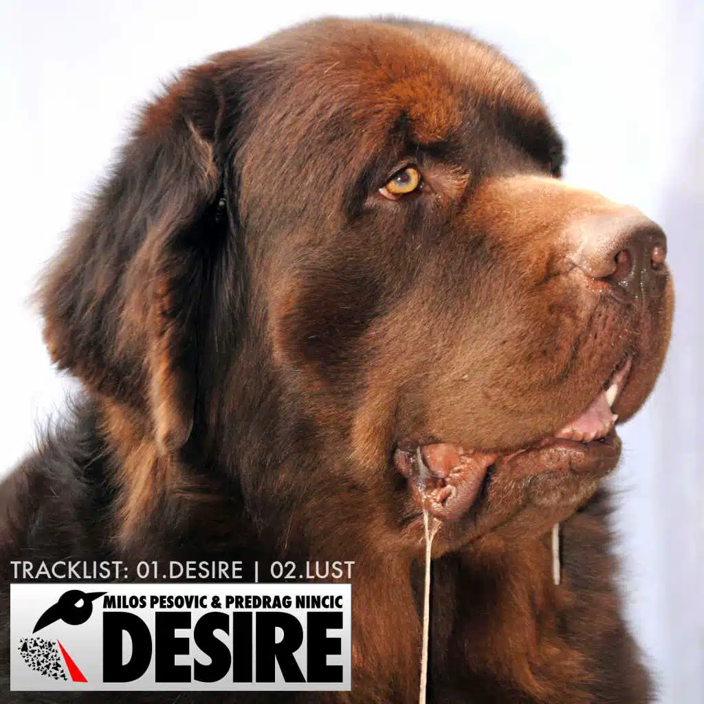 Predrag Nincic, Milos Pesovic