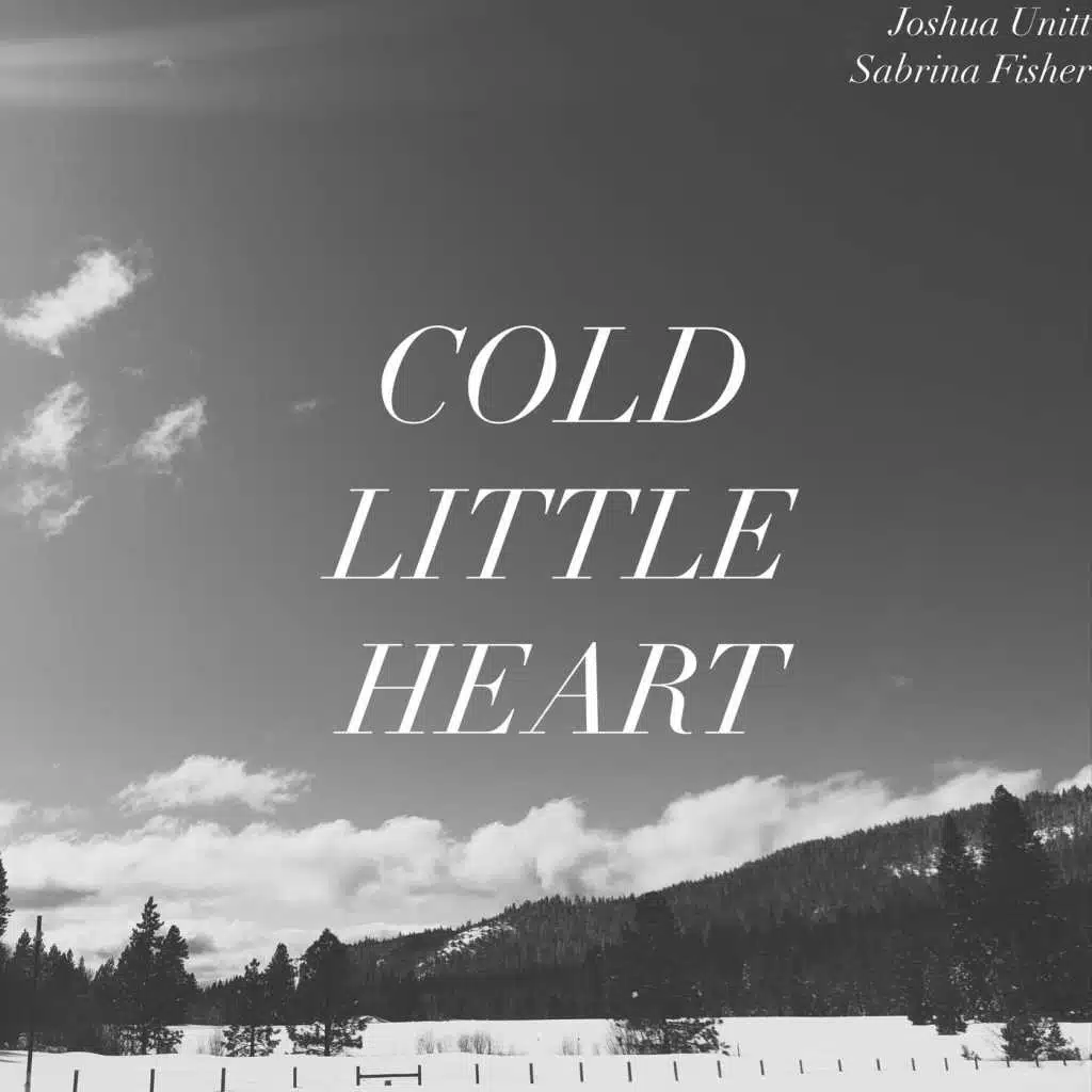Cold Little Heart