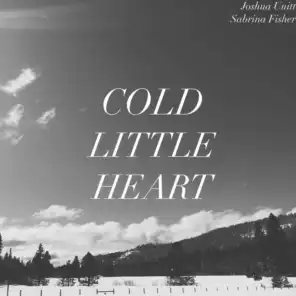 Cold Little Heart
