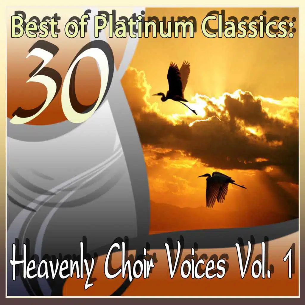 30 Best of Platinum Classics: Heavenly Choir Voices Vol. 1