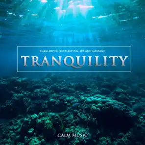 Tranquility: Calm Music For Sleeping, Spa and Massage