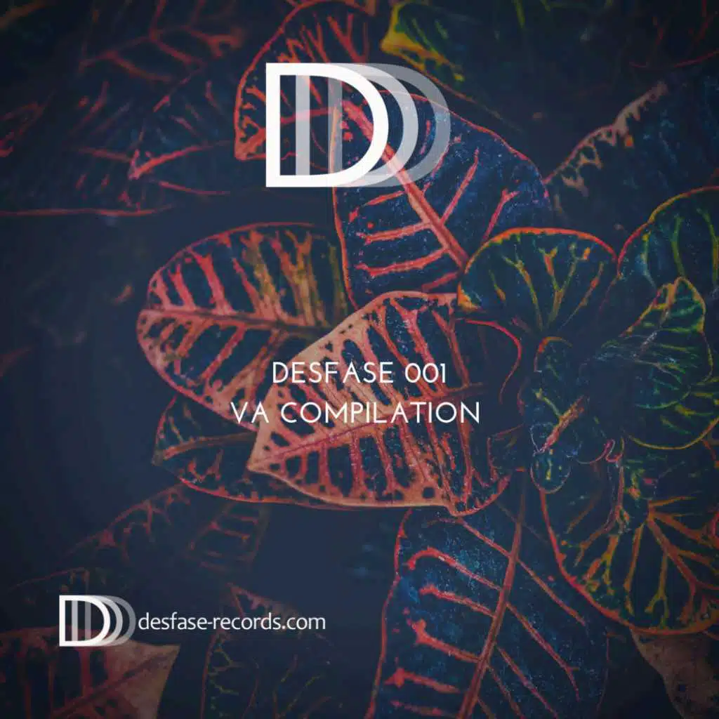 VA Desfase 001