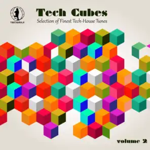 Tech Cubes, Vol. 2 - Selection of Finest Tech-House Tunes!