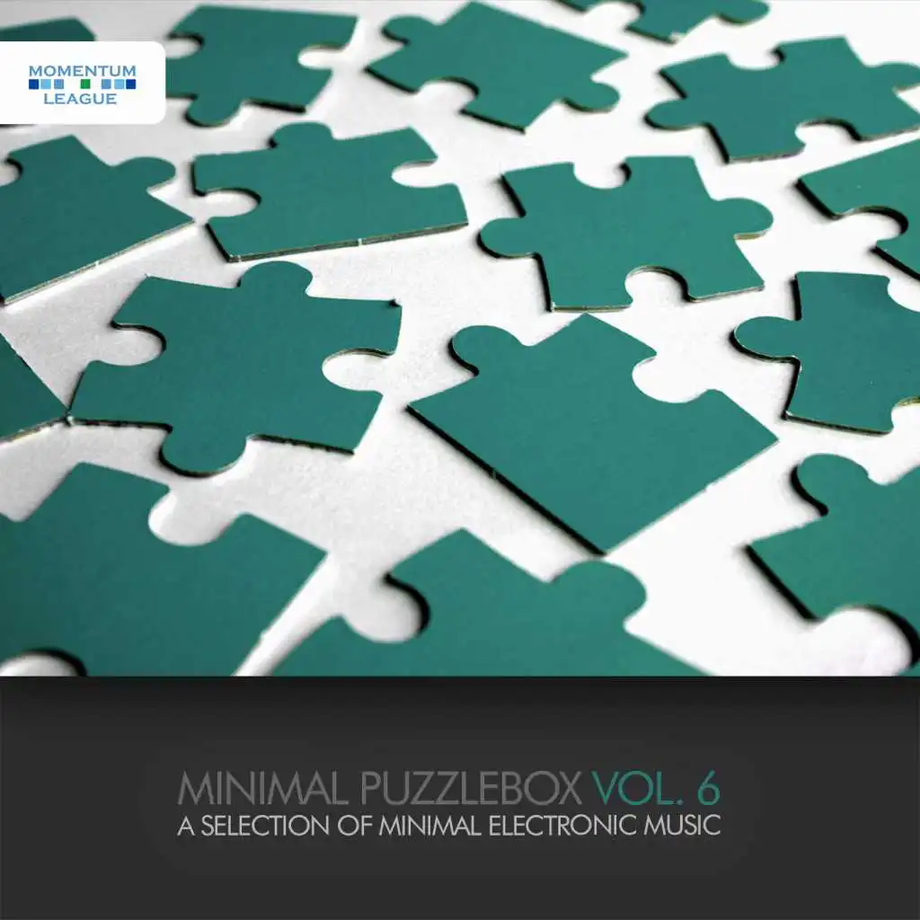 Minimal Puzzlebox, Vol. 6 - A Selection of Minimal Electro Music