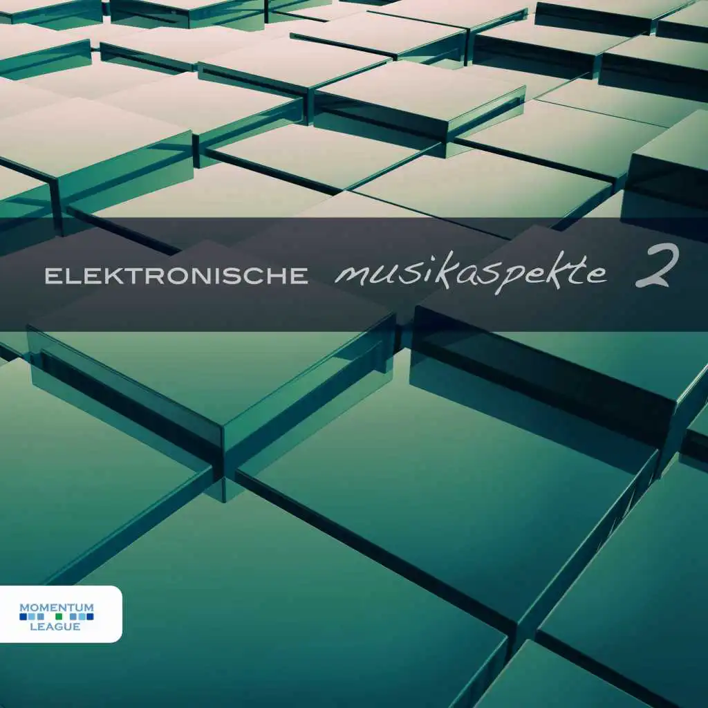 Elektronische Musikaspekte, Vol. 2