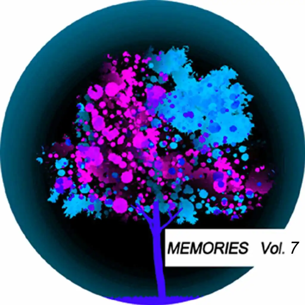 Memories, Vol. 7