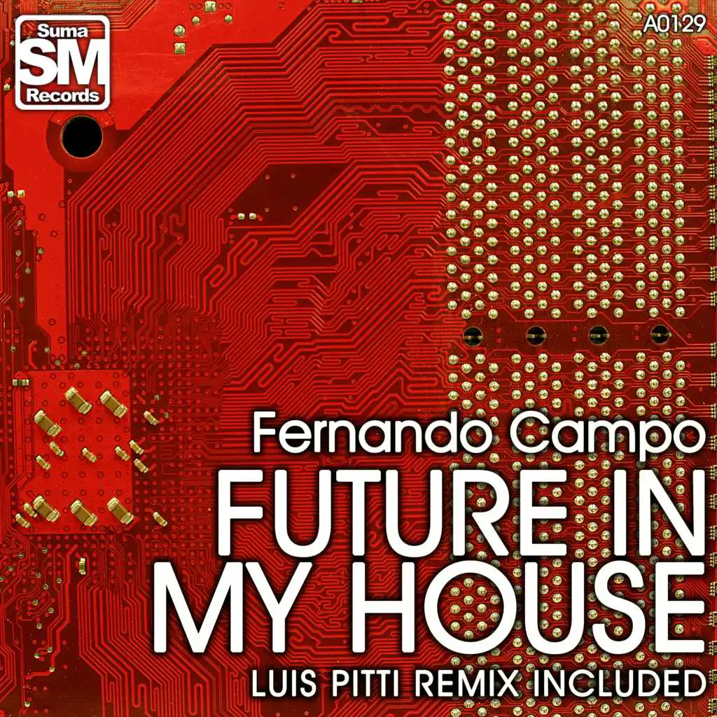 Future in My House (Luis Pitti Remix)